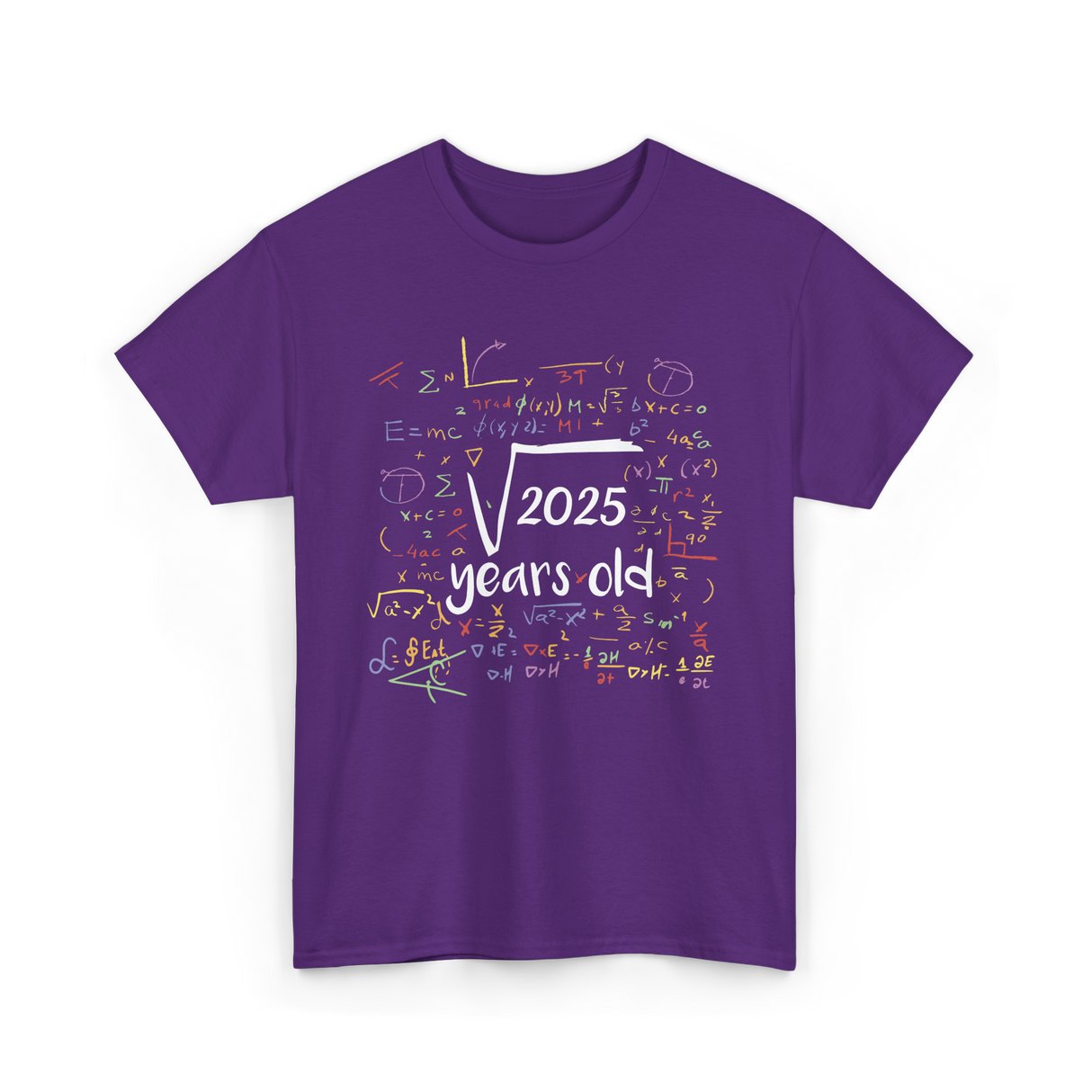 2025 Birthday Celebration Party T-Shirt - Purple