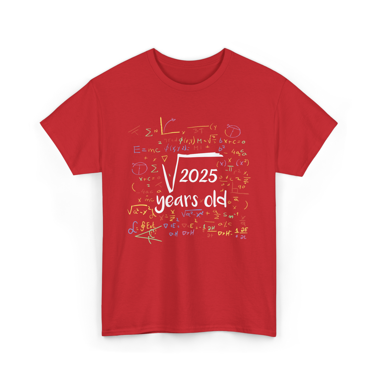 2025 Birthday Celebration Party T-Shirt - Red