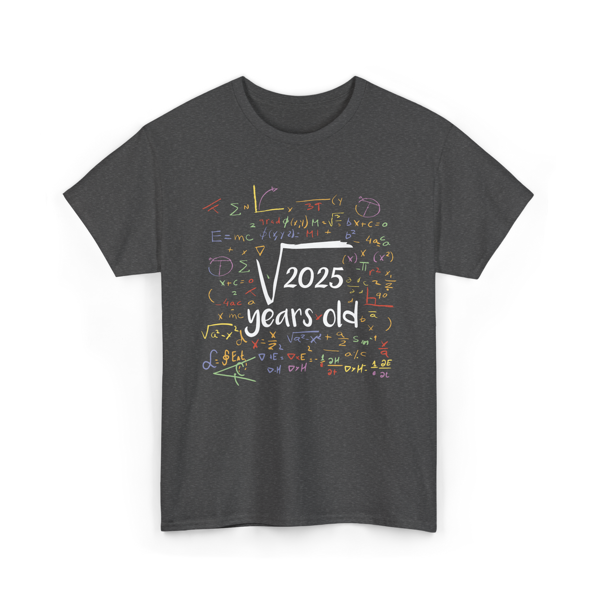 2025 Birthday Celebration Party T-Shirt - Dark Heather