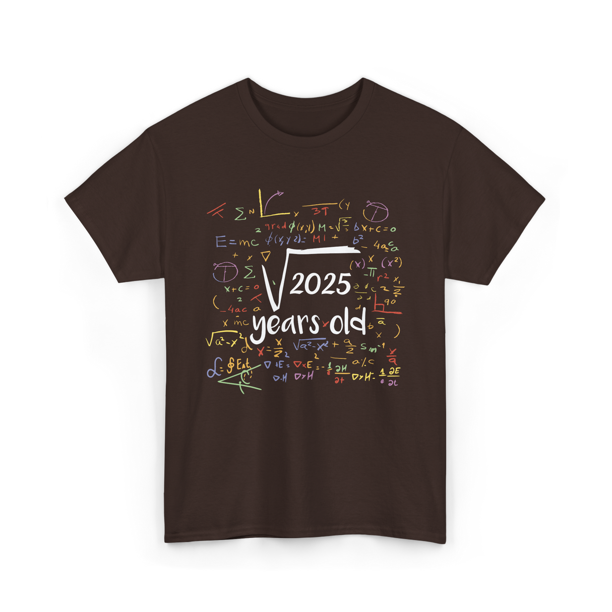 2025 Birthday Celebration Party T-Shirt - Dark Chocolate