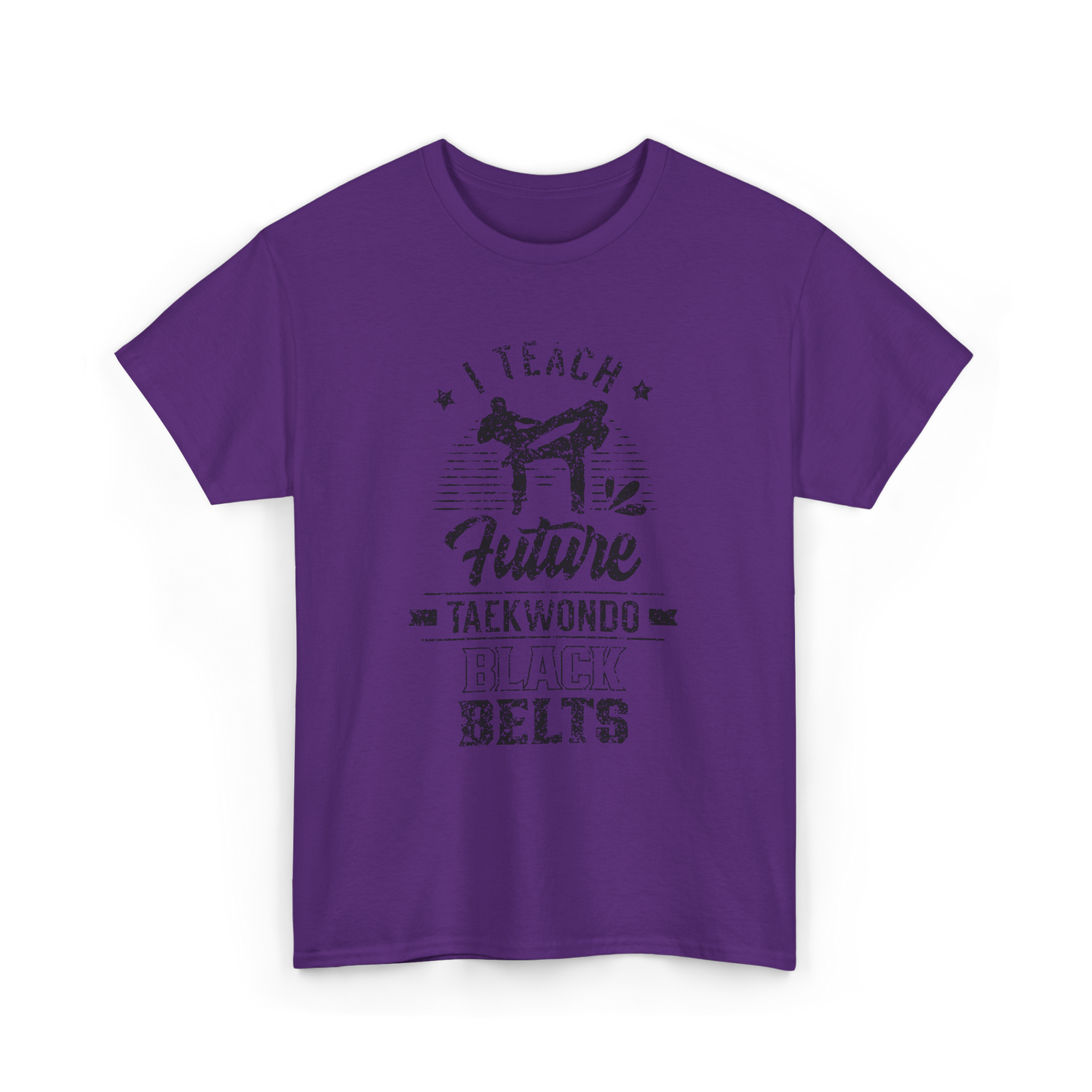 I Teach Taekwondo Martial Arts T-Shirt - Purple