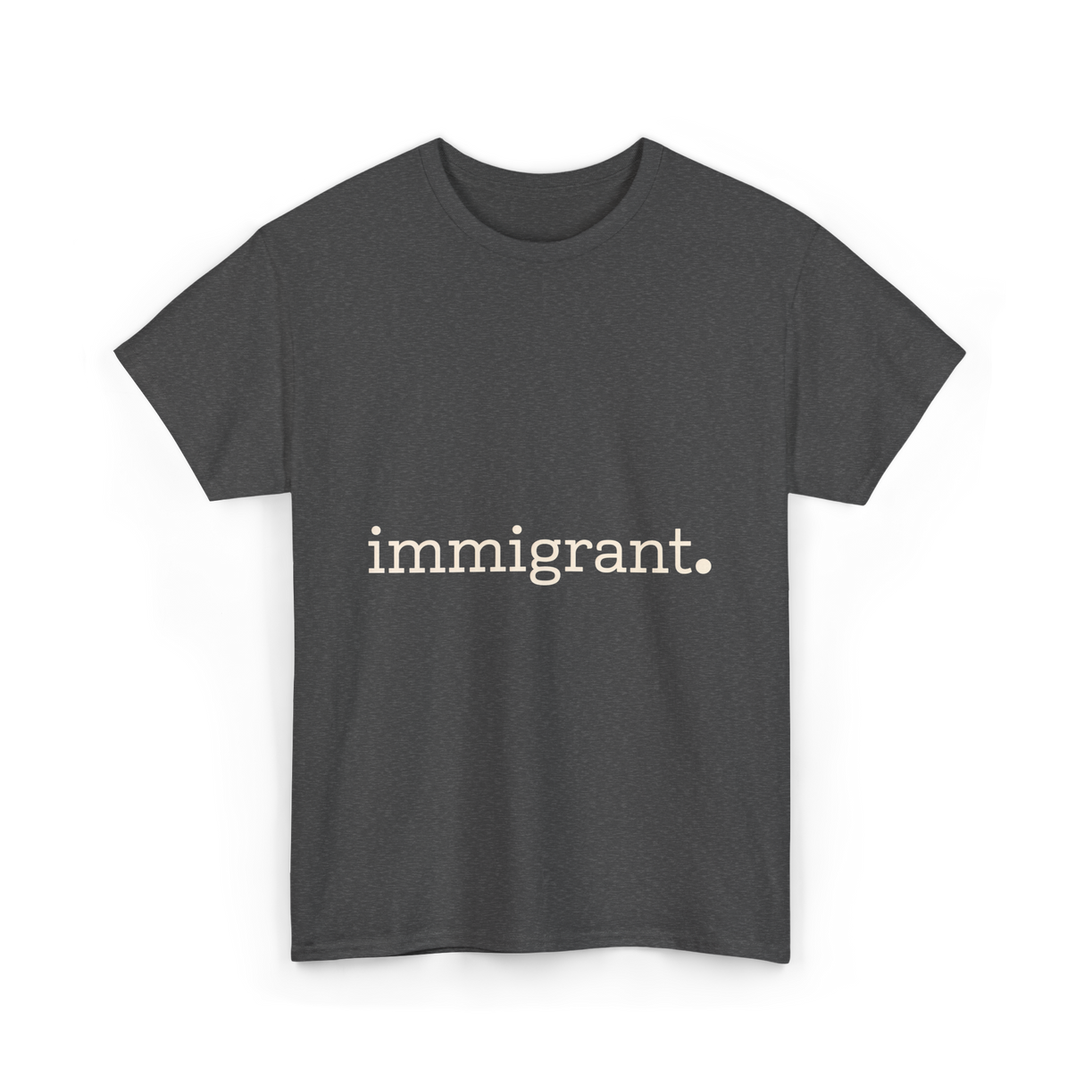 Immigrant Statement Awareness T-Shirt - Dark Heather