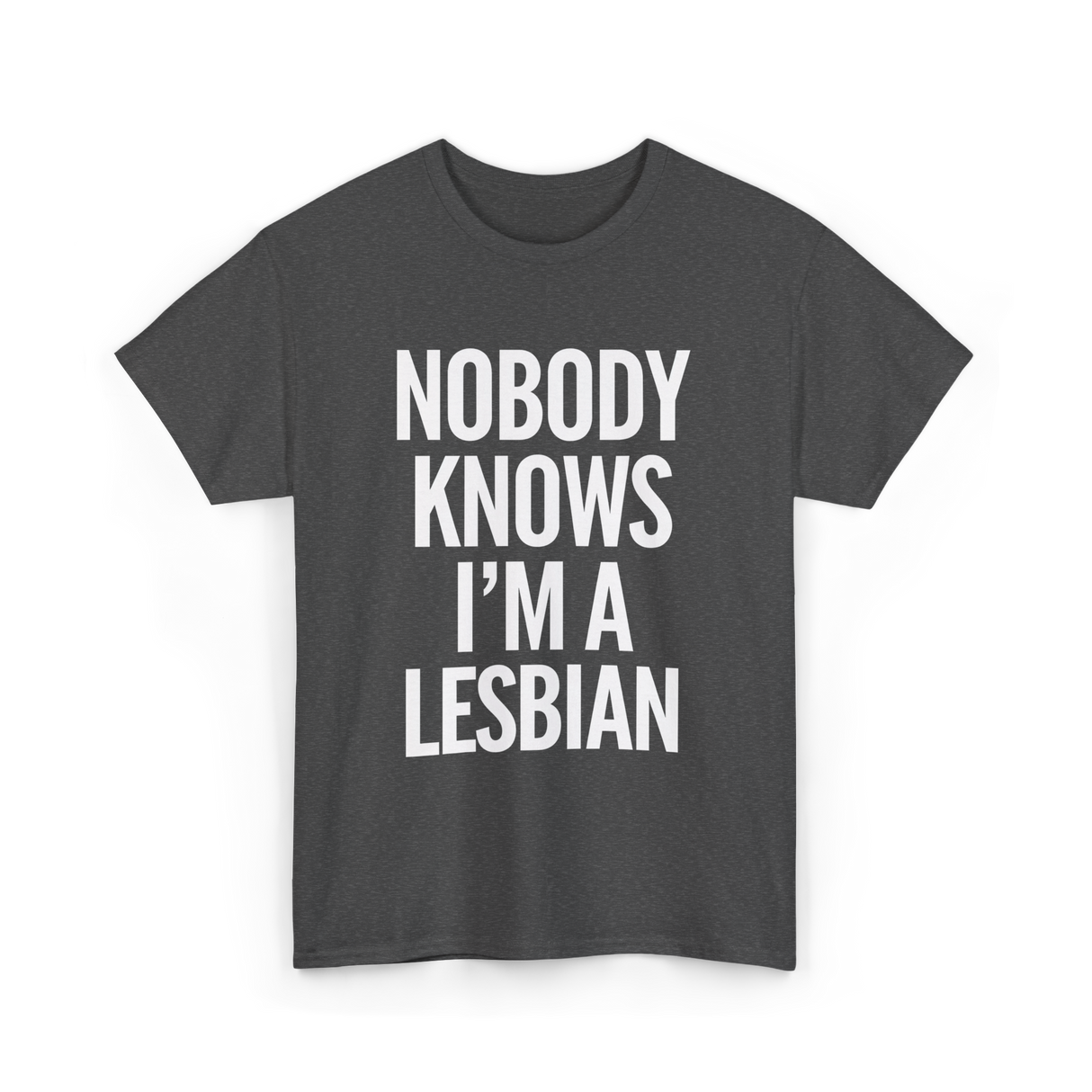 Nobody Knows I'm a Lesbian T-Shirt - Dark Heather