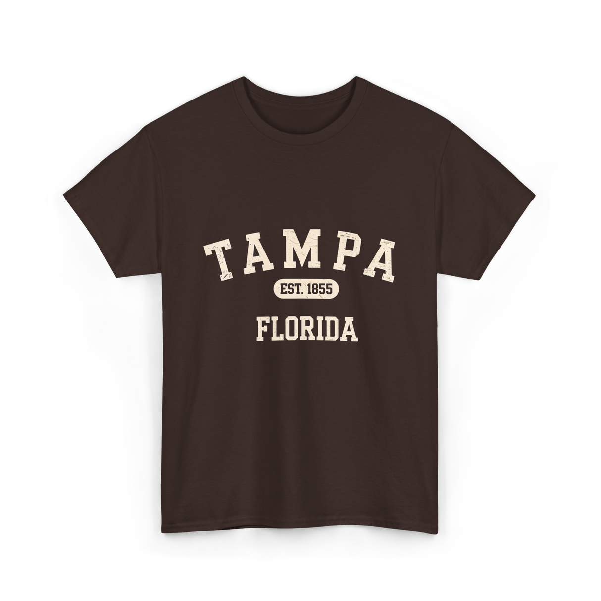 Tampa Florida Vintage Tampa T-Shirt - Dark Chocolate