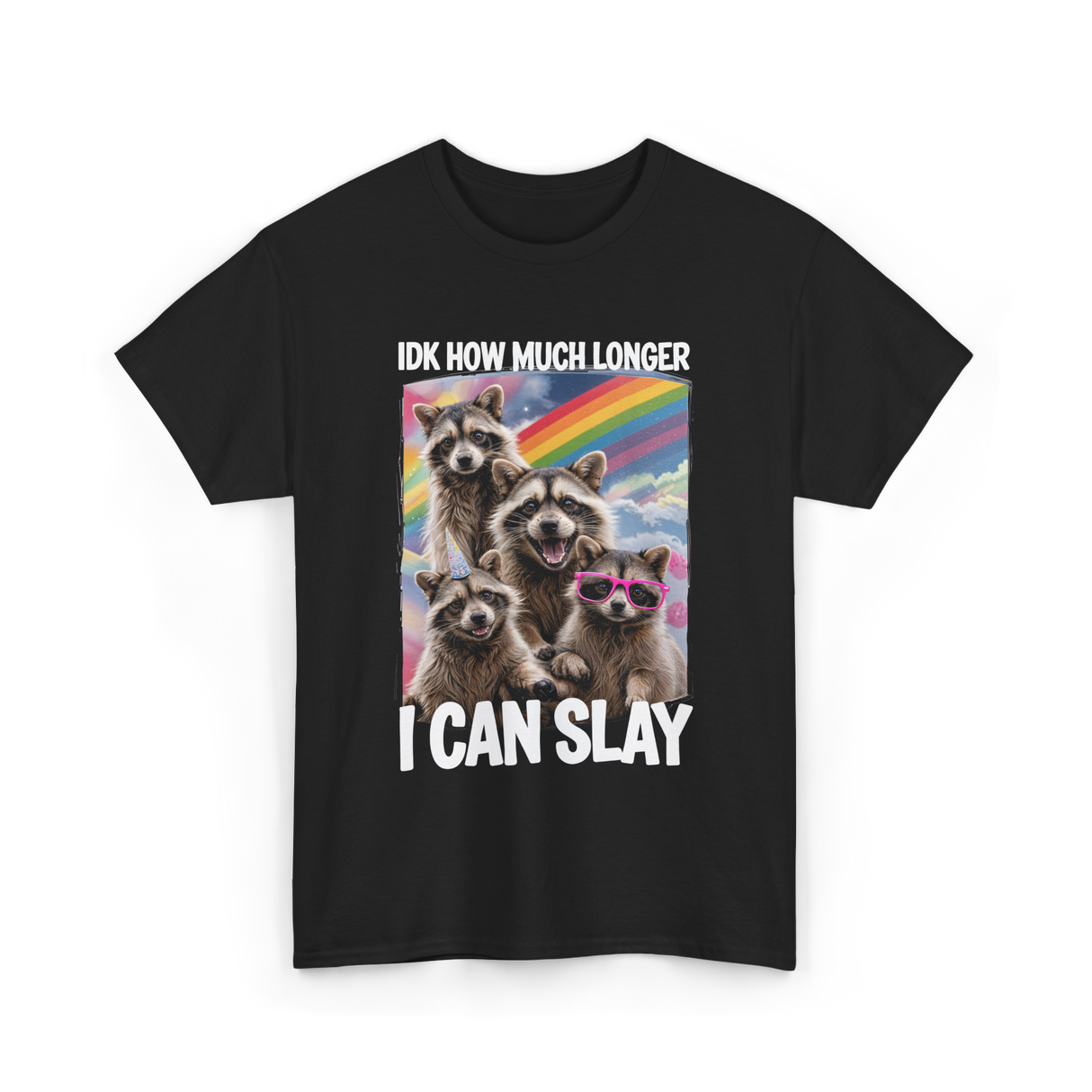 Idk How Much Longer Raccoon T-Shirt - Black