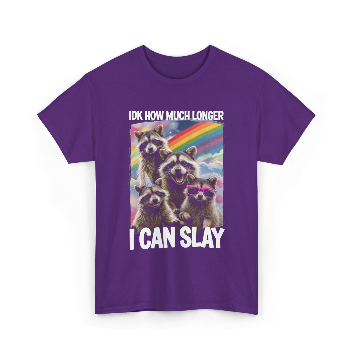 Idk How Much Longer Raccoon T-Shirt - Purple