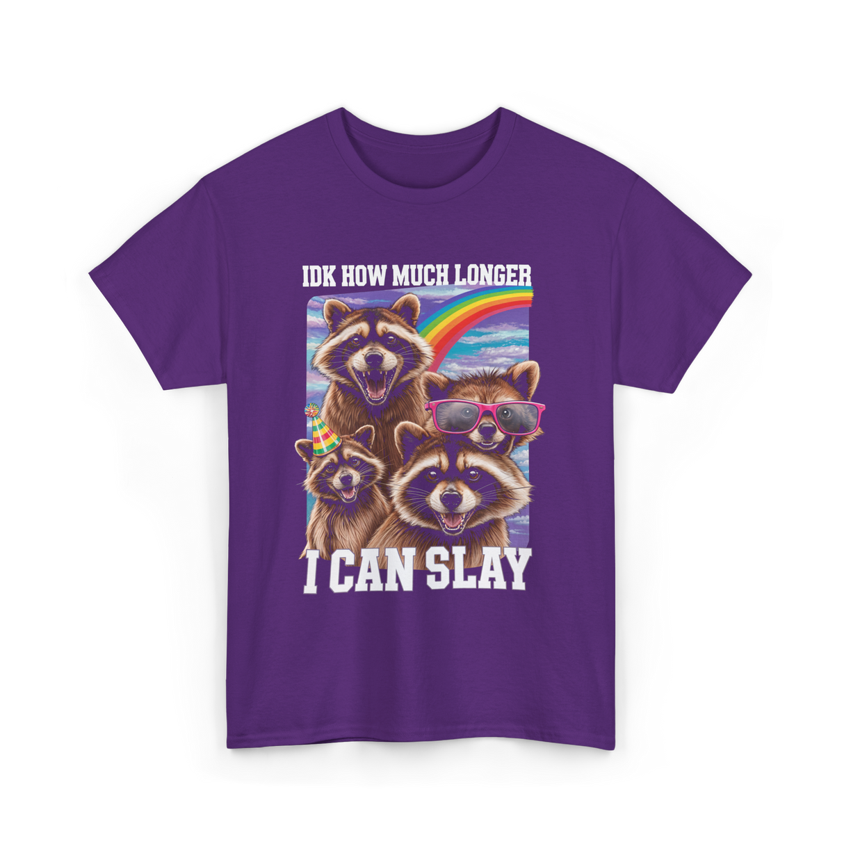 Idk How Much Longer Raccoon T-Shirt - Purple