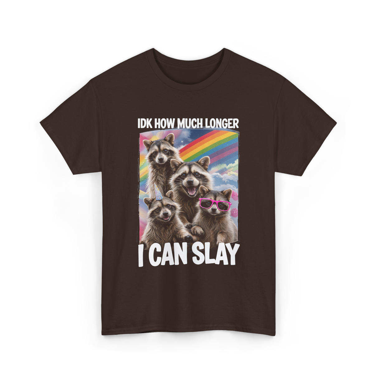 Idk How Much Longer Raccoon T-Shirt - Dark Chocolate