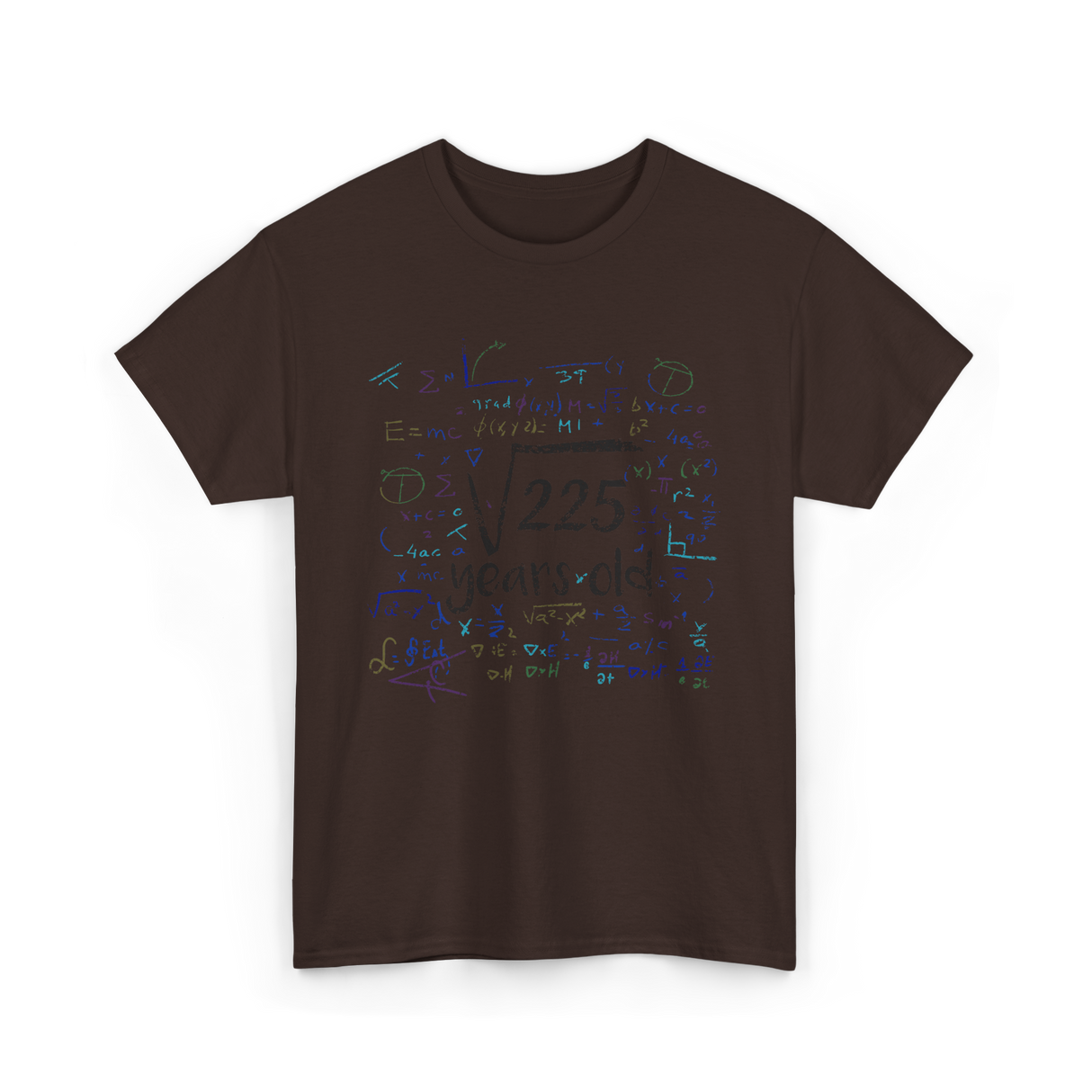 Math Equations Birthday Celebration T-Shirt - Dark Chocolate