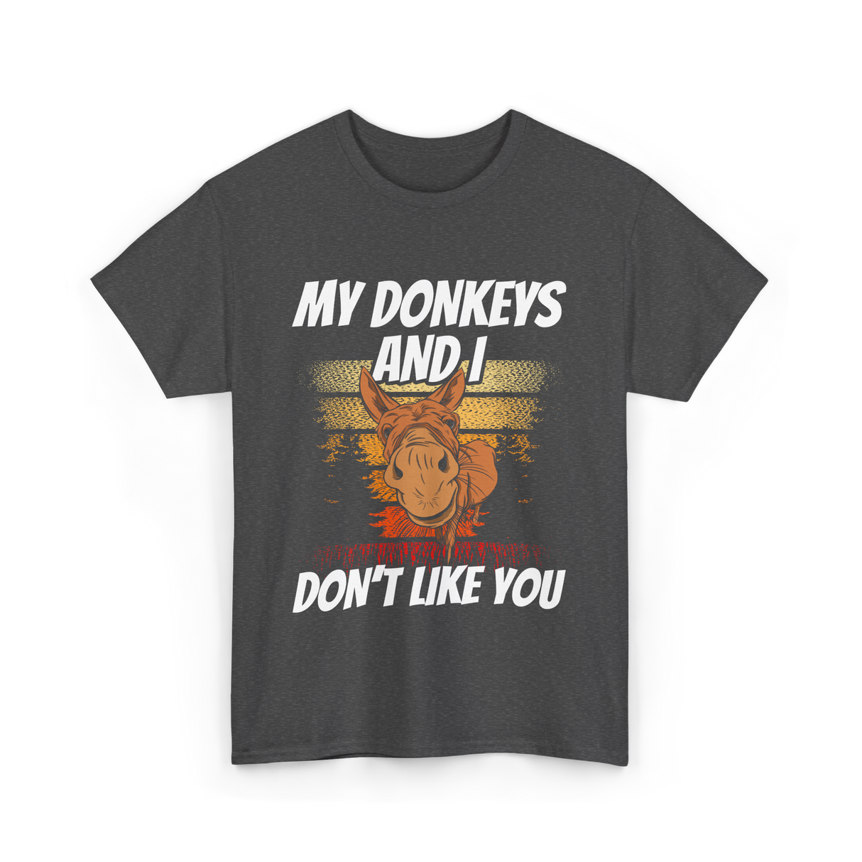 My Donkeys And I Donkey Lover T-Shirt - Dark Heather