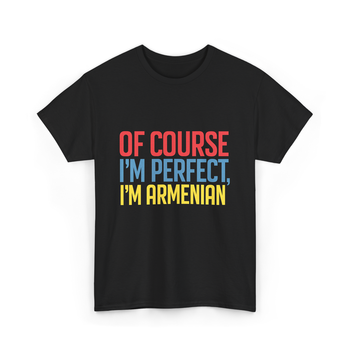 Of Course I'm Perfect Armenian T-Shirt - Black