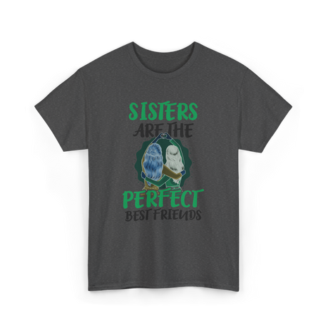 Sisters Perfect Friendship T-Shirt - Dark Heather